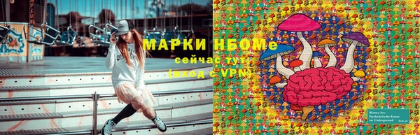 кокс Михайлов