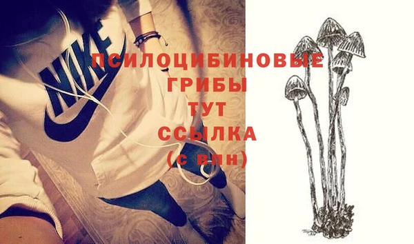 кокс Михайлов