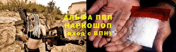 кокс Михайлов